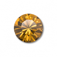 Preciosa Preciosa punt stenen