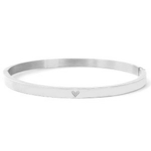 Roestvrij stalen (RVS) stainless steel armbanden met hart Zilver