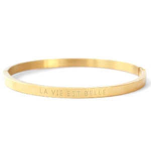 Roestvrij stalen (RVS) Stainless steel armbanden 'LA VIE EST BELLE' Goud
