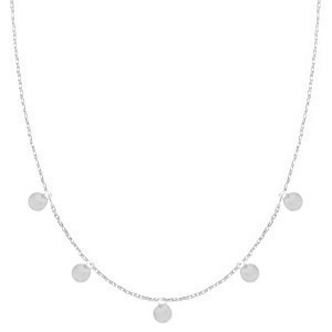 Roestvrij stalen (RVS) Stainless steel kettingen coins Zilver