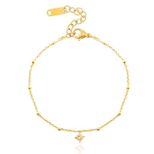 Roestvrij stalen (RVS) Stainless steel armbanden lucky star Goud