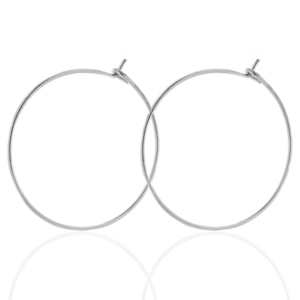 Roestvrij stalen (RVS) Stainless steel oorbellen 25mm Zilver