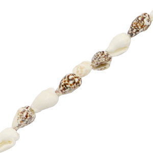 Schelp kralen wulk Mixed brown-white