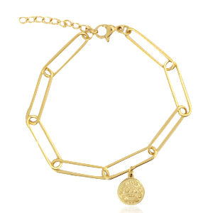 Roestvrij stalen (RVS) Stainless steel armbanden coin Goud