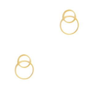 Roestvrij stalen (RVS) Stainless steel bedels / tussenstuk rings Goud