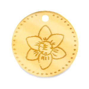 Plexx bedels 20mm Birth flower December-Narcissus Gold