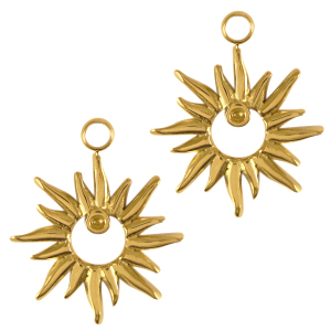 Roestvrij stalen (RVS) Stainless steel bedels ster Goud