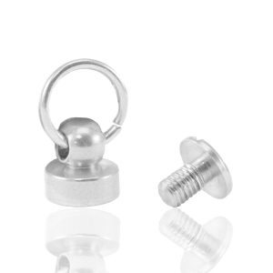 Telefoonhoes rivet Silver