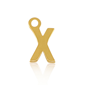 Roestvrij stalen (RVS) Stainless steel bedels initial X Gold
