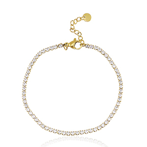 Roestvrij stalen (RVS) Stainless steel armbanden Goud-crystal