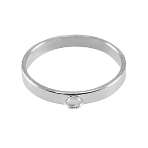 Roestvrij stalen (RVS) Stainless steel onderdelen ringen met oogje Silver