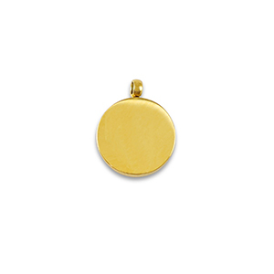 Roestvrij stalen (RVS) Stainless steel bedels La Luna volle maan Gold