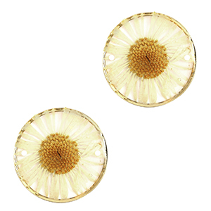 Tussenstukken met gedroogde bloemetjes 20mm Gold-beige