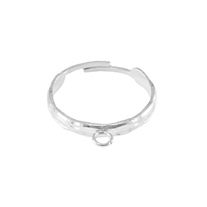 Roestvrij stalen (RVS) Stainless steel ringen met oogje Zilver