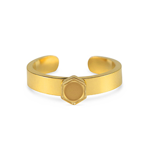 Birthstones ring met setting Stainless Steel (RVS) voor SS16 flat back Gold
