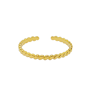 Roestvrij stalen (RVS) Stainless steel ringen Goud