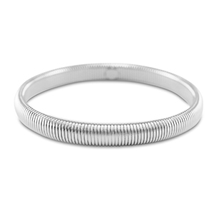 Roestvrij stalen (RVS) stainless steel armbanden Silver