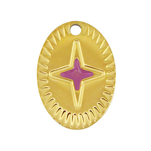 Roestvrij stalen (RVS) Stainless steel bedels ovaal ster Gold-purple