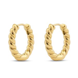 Roestvrij stalen (RVS) Stainless steel oorbellen creolen Gold