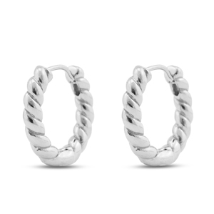 Roestvrij stalen (RVS) Stainless steel oorbellen creolen Silver