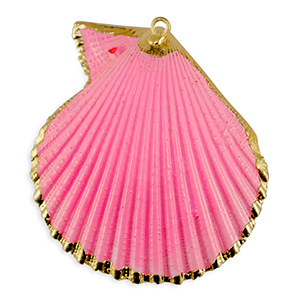 Schelp hangers specials Sint Jacobsschelp Pink