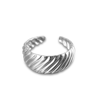 Roestvrij stalen (RVS) Stainless steel ringen Silver