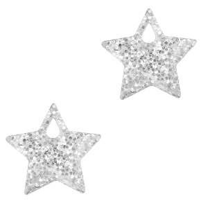 Plexx bedels star glitter Silver