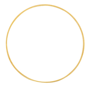 Onderdelen DQ metaal dichte ring 40mm Goud (nikkelvrij)