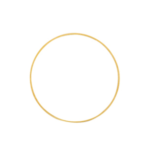 Onderdelen DQ metaal dichte ring 20mm Goud (nikkelvrij)