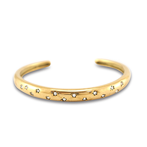 Roestvrij stalen (RVS) Stainless steel armbanden bangle Gold