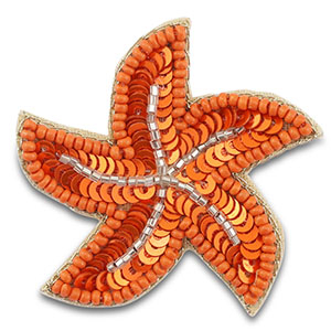 Broches zeester Orange-silverlined transparent