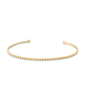 Roestvrij stalen (RVS) Stainless steel armbanden bangle Gold