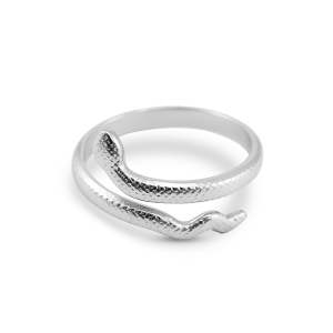Roestvrij stalen (RVS) Stainless steel ringen slang Silver