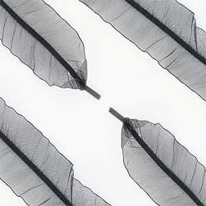 Trendy veters organza Black