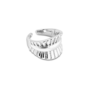 Roestvrij stalen (RVS) Stainless steel oorbellen ear cuff Silver