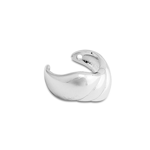 Roestvrij stalen (RVS) Stainless steel oorbellen ear cuff Silver