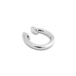 Roestvrij stalen (RVS) Stainless steel oorbellen ear cuff Silver