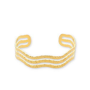 Roestvrij stalen (RVS) Stainless steel armbanden bangle Gold