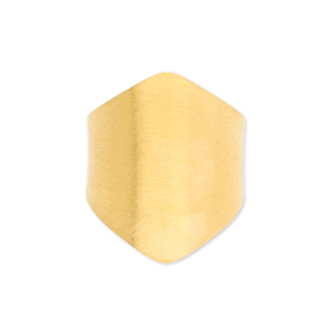 Roestvrij stalen (RVS) Stainless steel ringen Gold