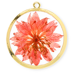 Bedels met gedroogde bloemetjes 34mm Gold-living coral red