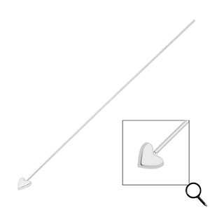 BY31&reg; Roestvrij stalen (RVS) Stainless steel onderdelen nietstiften met hart 70mm Silver