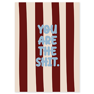 BY31&reg; Sieraden kaartjes "You are the shit" Brown-cr&eacute;me-light blue