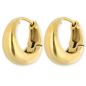 Roestvrij stalen (RVS) Stainless steel oorbellen / creolen Gold