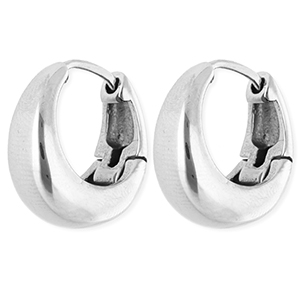 Roestvrij stalen (RVS) Stainless steel oorbellen / creolen Silver
