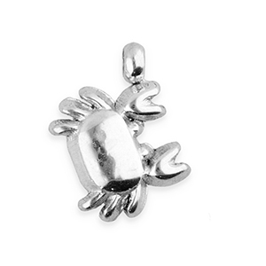 BY31&reg; Roestvrij stalen (RVS) Stainless steel bedels krab Silver