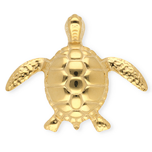 Roestvrij stalen (RVS) Stainless steel statement broches schildpad Gold
