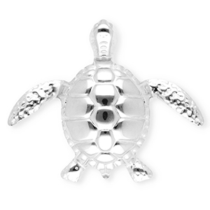 Roestvrij stalen (RVS) Stainless steel statement broches schildpad Silver