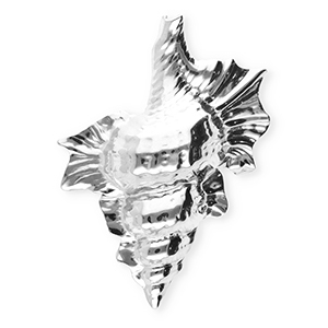 Roestvrij stalen (RVS) Stainless steel statement broches schelp Silver
