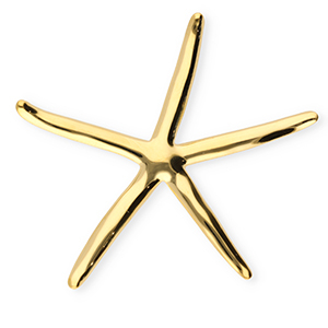 Roestvrij stalen (RVS) Stainless steel statement broches zeester Gold