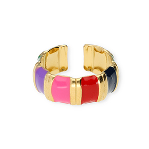 Roestvrij stalen (RVS) Stainless steel ringen Gold-multicolour